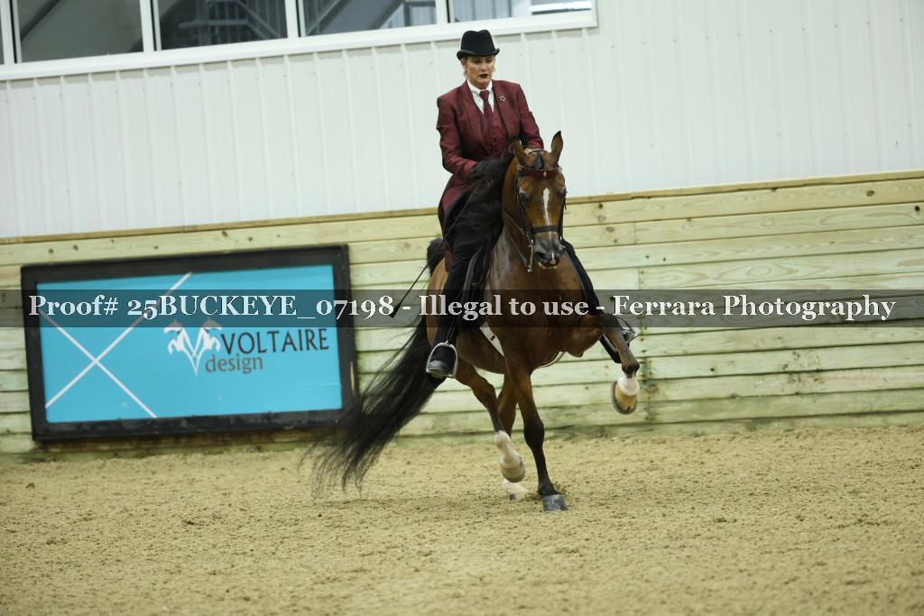 Proof 25BUCKEYE_07198