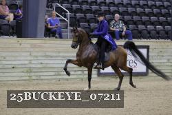 25BUCKEYE_07211 proof