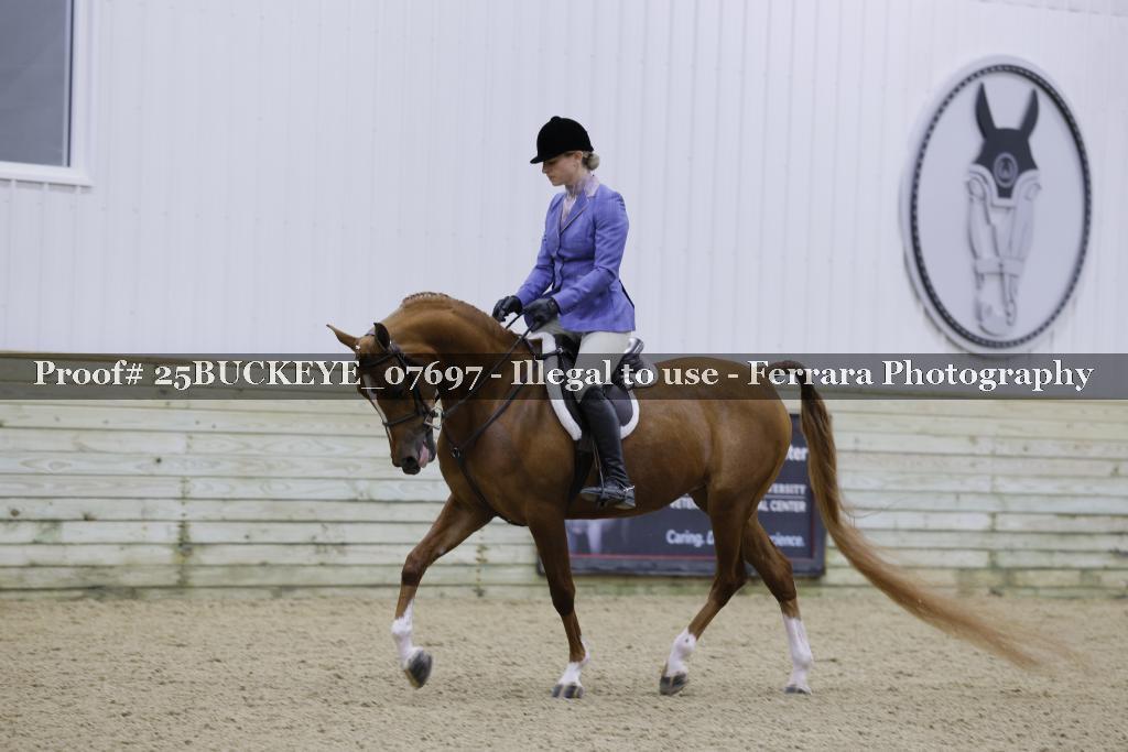 Proof 25BUCKEYE_07697