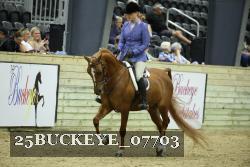 25BUCKEYE_07703 proof