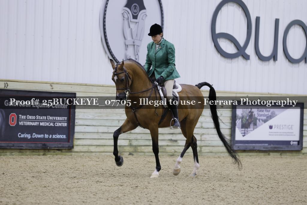Proof 25BUCKEYE_07705