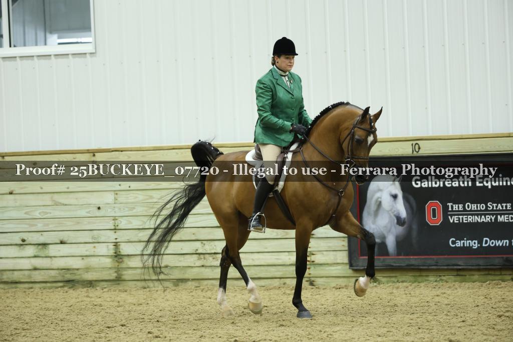 Proof 25BUCKEYE_07720