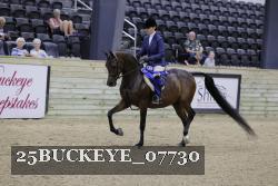 25BUCKEYE_07730 proof
