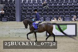 25BUCKEYE_07732 proof
