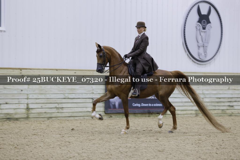 Proof 25BUCKEYE_07320
