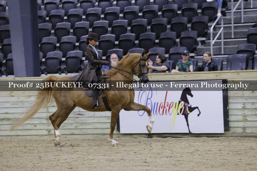 Proof 25BUCKEYE_07331
