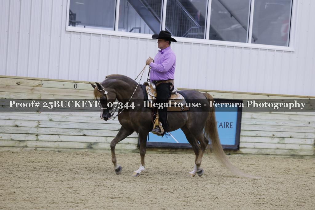 Proof 25BUCKEYE_07344