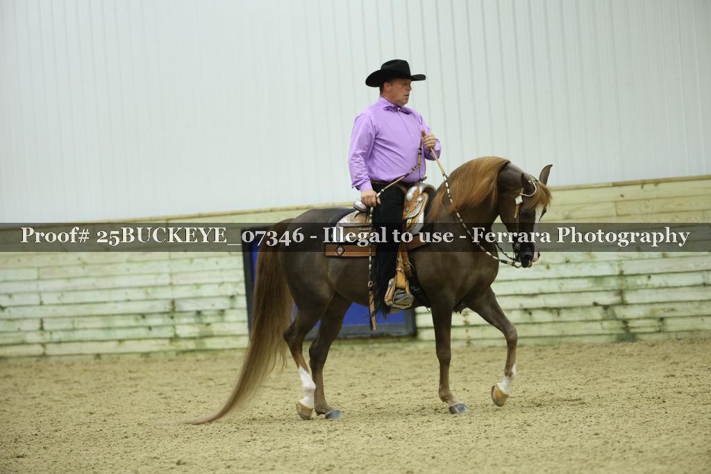 Proof 25BUCKEYE_07346