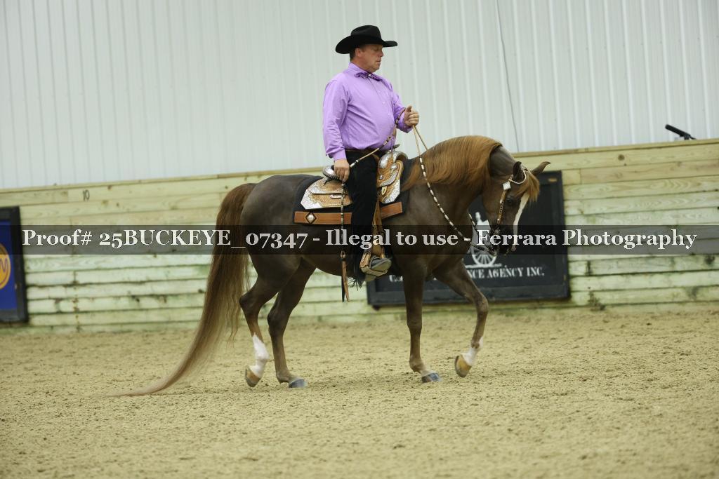 Proof 25BUCKEYE_07347