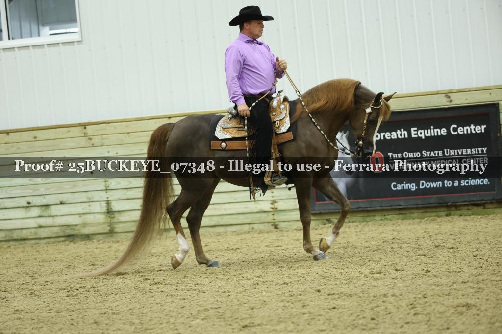 Proof 25BUCKEYE_07348