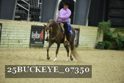 25BUCKEYE_07350 proof