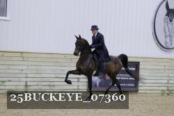 25BUCKEYE_07360 proof