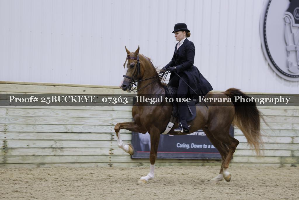 Proof 25BUCKEYE_07363