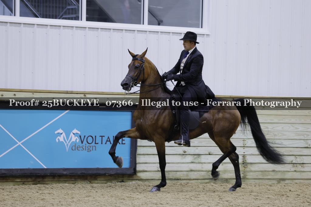 Proof 25BUCKEYE_07366