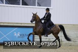 25BUCKEYE_07366 proof