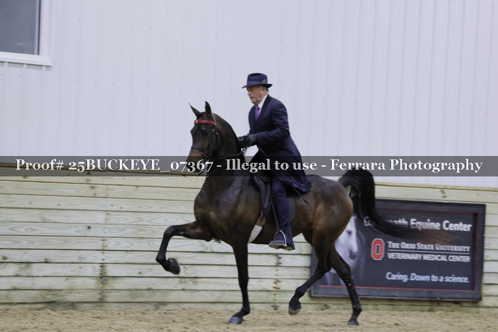 Proof 25BUCKEYE_07367