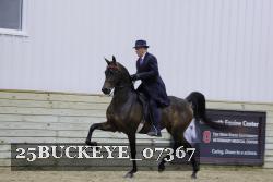 25BUCKEYE_07367 proof