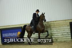 25BUCKEYE_07372 proof