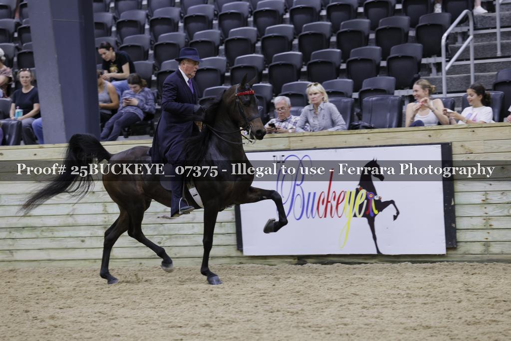 Proof 25BUCKEYE_07375