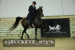25BUCKEYE_07376 proof
