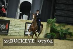 25BUCKEYE_07384 proof