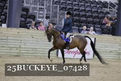 25BUCKEYE_07428 proof