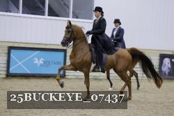 25BUCKEYE_07437 proof