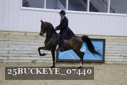 25BUCKEYE_07440 proof