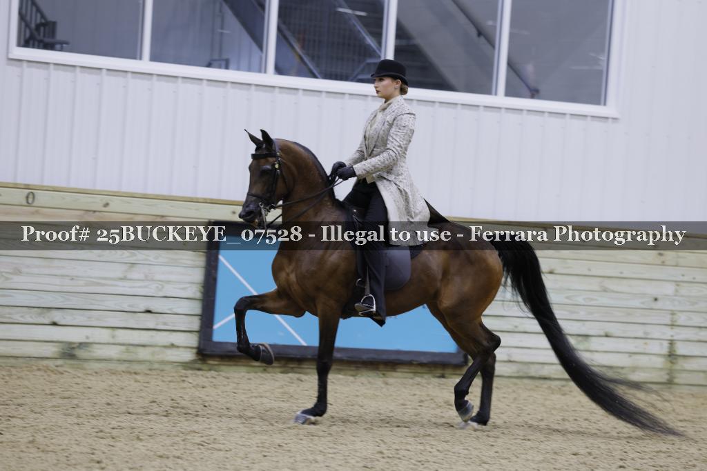 Proof 25BUCKEYE_07528