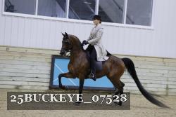 25BUCKEYE_07528 proof