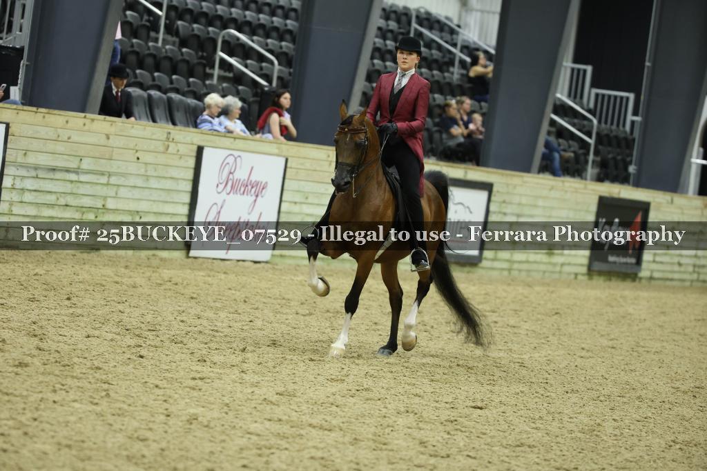 Proof 25BUCKEYE_07529