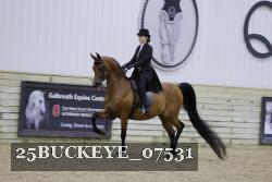 25BUCKEYE_07531 proof