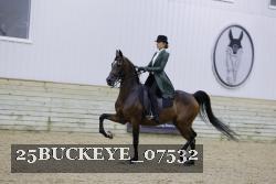 25BUCKEYE_07532 proof