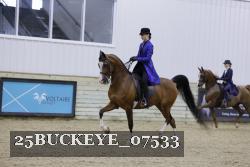 25BUCKEYE_07533 proof