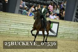 25BUCKEYE_07536 proof