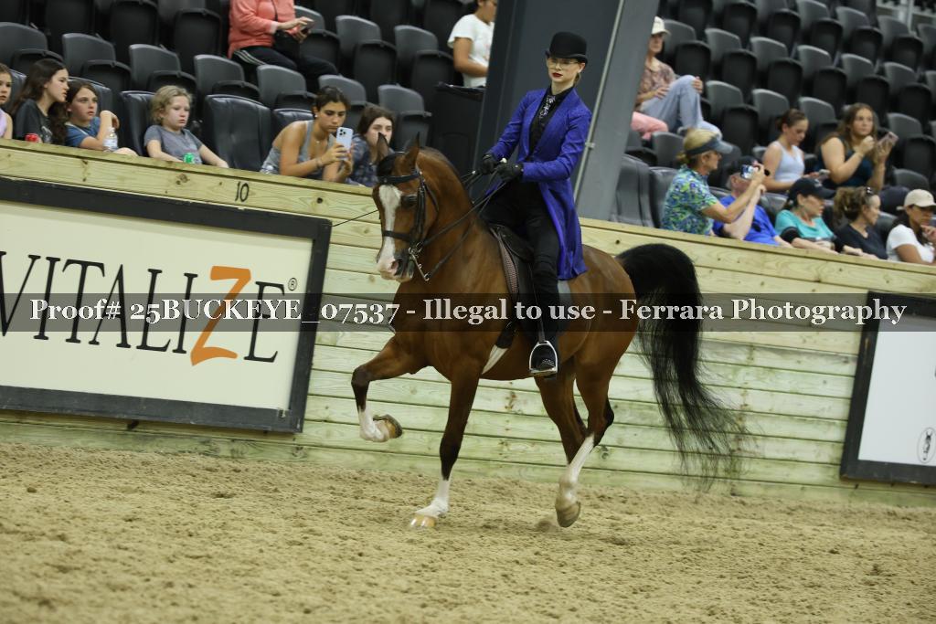 Proof 25BUCKEYE_07537
