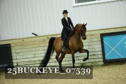 25BUCKEYE_07539 proof