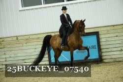 25BUCKEYE_07540 proof