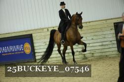 25BUCKEYE_07546 proof