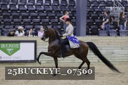 25BUCKEYE_07560 proof