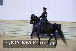 25BUCKEYE_07754 proof