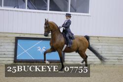 25BUCKEYE_07755 proof
