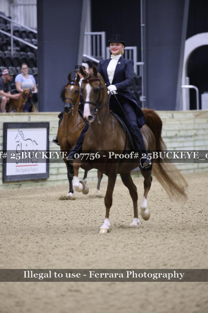 Proof 25BUCKEYE_07756