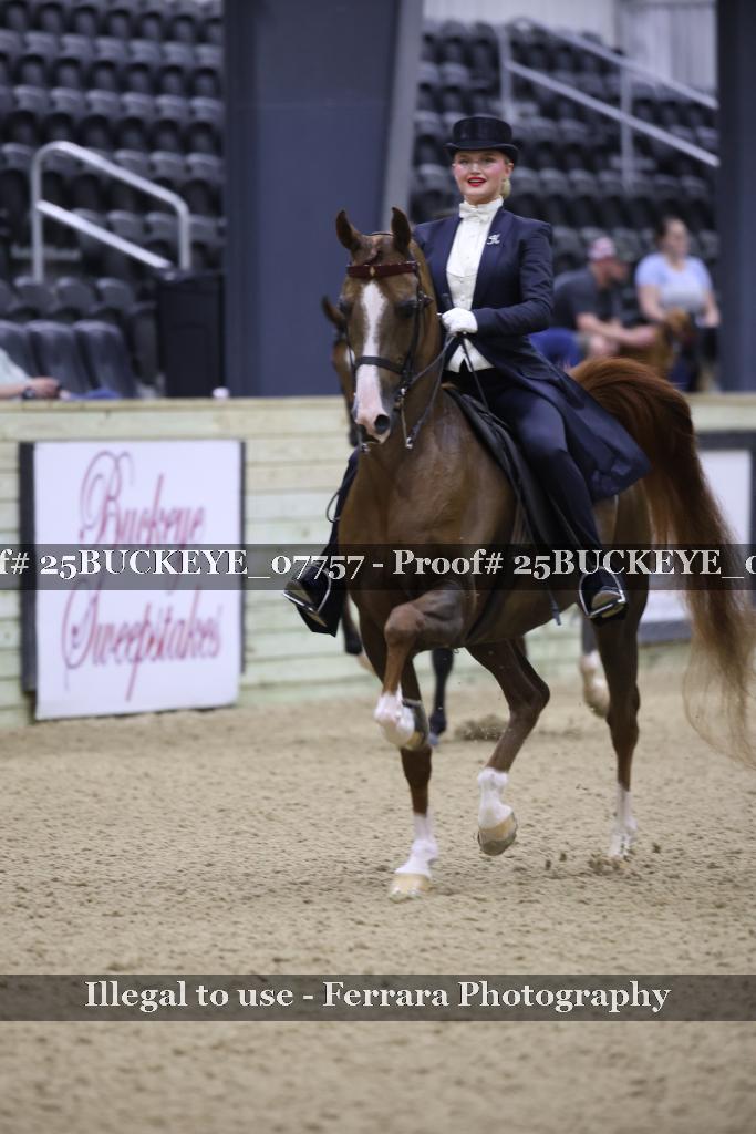 Proof 25BUCKEYE_07757
