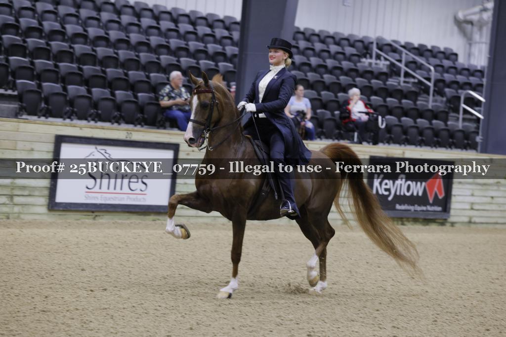 Proof 25BUCKEYE_07759
