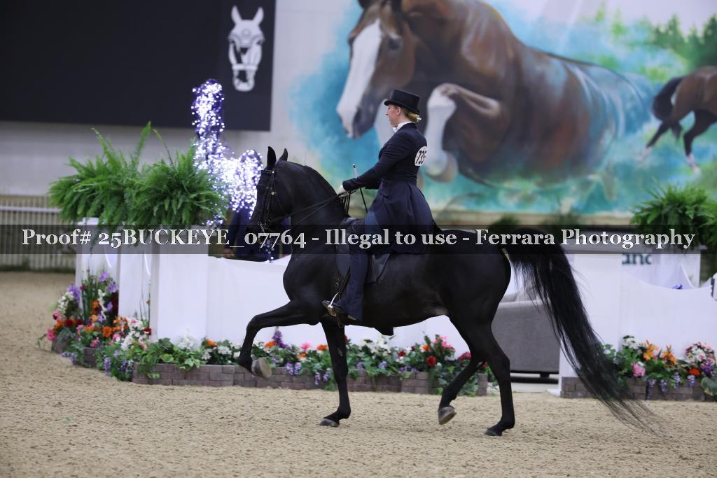 Proof 25BUCKEYE_07764