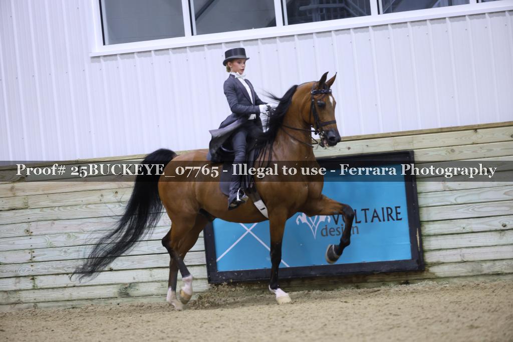 Proof 25BUCKEYE_07765