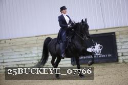 25BUCKEYE_07766 proof