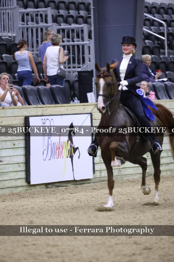 Proof 25BUCKEYE_07784