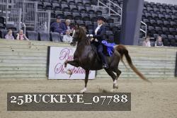 25BUCKEYE_07788 proof
